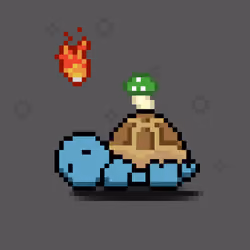 Turtle Moons #5996