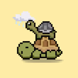 Turtle Moons #5639