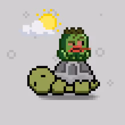 Turtle Moons #2823