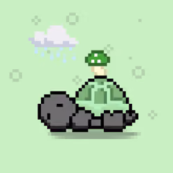 Turtle Moons #2582