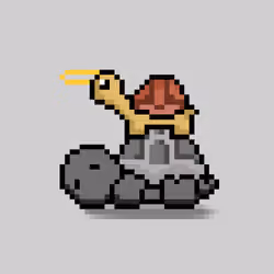Turtle Moons #3023