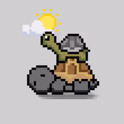 Turtle Moons #6057