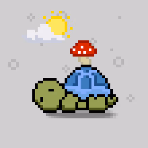 Turtlemoons