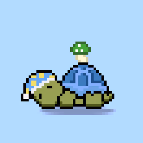 Turtlemoons