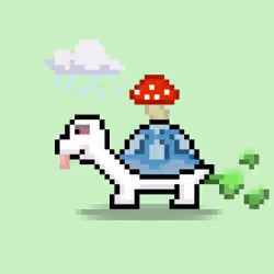 Turtle Moons #885