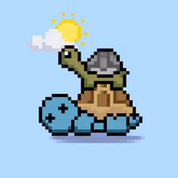 Turtle Moons #6035