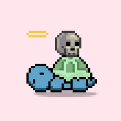 Turtle Moons #5998