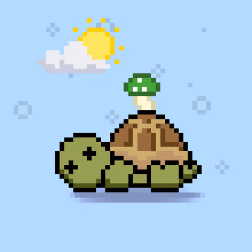 Turtlemoons