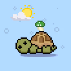 Turtle Moons #2886