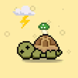Turtle Moons #6056