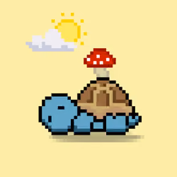 Turtle Moons #5681