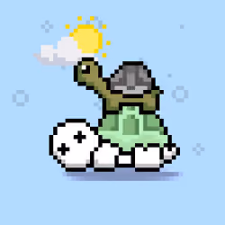 Turtle Moons #5673
