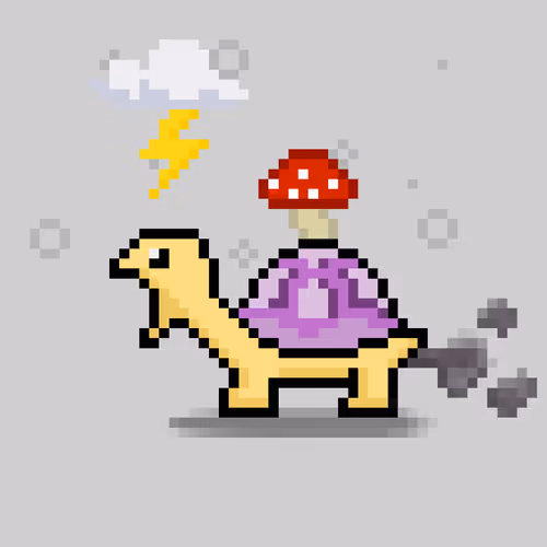 Turtlemoons