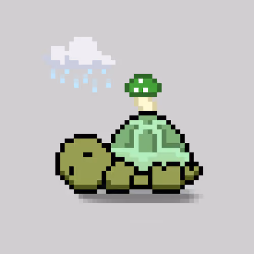 Turtle Moons #2455