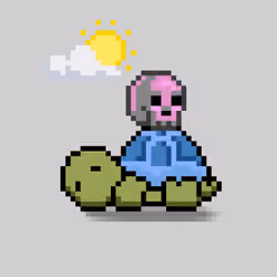 Turtle Moons #5674