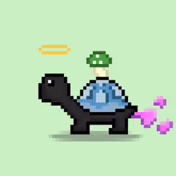 Turtle Moons #3477