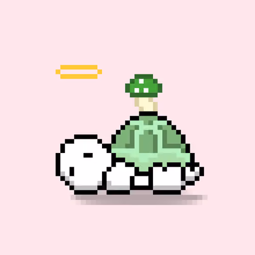 Turtle Moons #3045