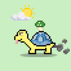 Turtle Moons #76