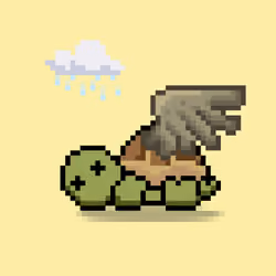 Turtle Moons #6050