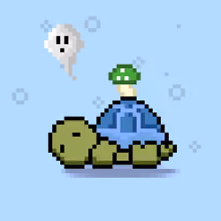 Turtle Moons #2449
