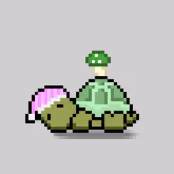 Turtle Moons #3132