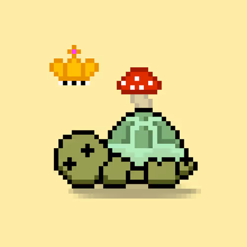 Turtlemoons