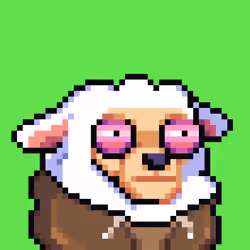 sheep.parade #2775