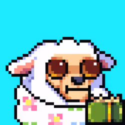 sheep.parade #12204