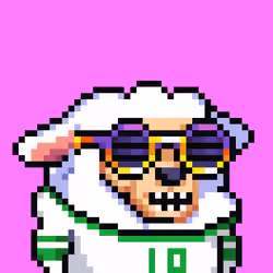 sheep.parade #2827