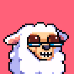 sheep.parade #274