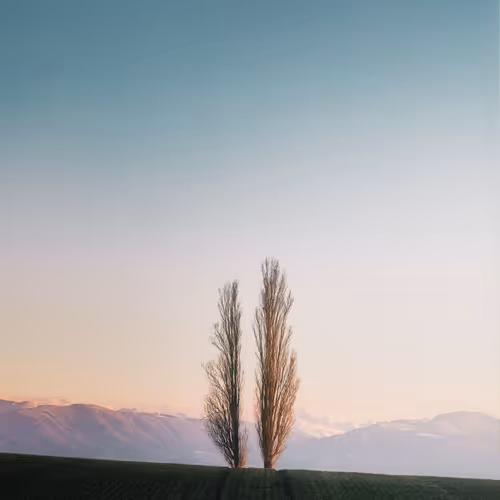 Jonas Hangartner Legacy