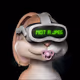 303