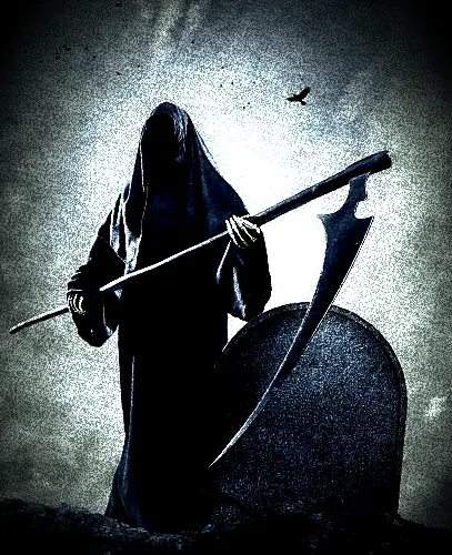 The Untitled Collection