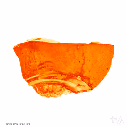 CORE #226
