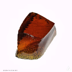 CORE #8