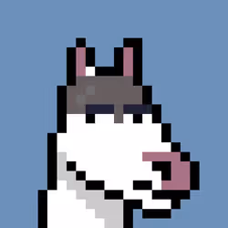 559