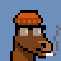 1264