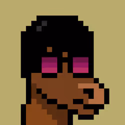 337