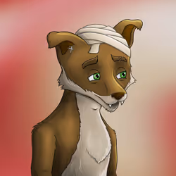 Rich Fox Club #4341