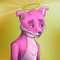 Rich Fox Club #4126