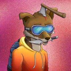 Rich Fox Club #224