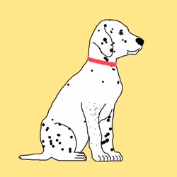 Dalmatians #0040