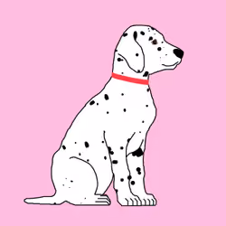 Dalmatians #0099