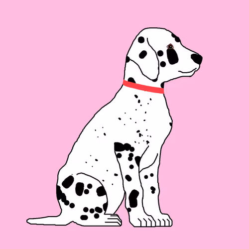 Dalmatians #0123