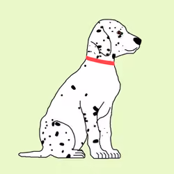 Dalmatians #0098