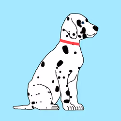 Dalmatians #0073