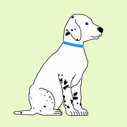 Dalmatians #0042