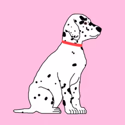 Dalmatians #0066