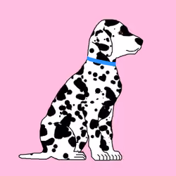 Dalmatians #0043