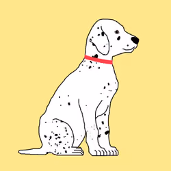 Dalmatians #0013